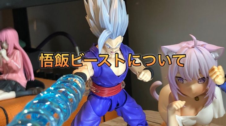 悟飯ビーストについて（雑談　フィギュアーツ　ドラゴンボール）ネタバレ含みます