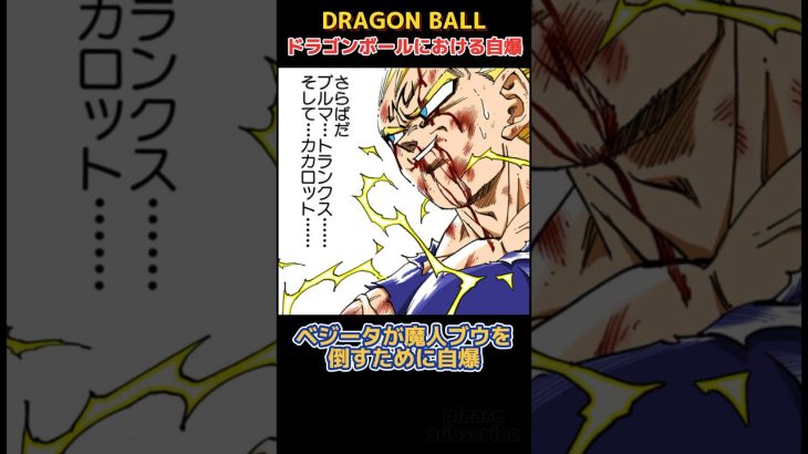 【DRAGON BALL】ドラゴンボール小ネタ PART24 自爆【ドラゴンボール】
