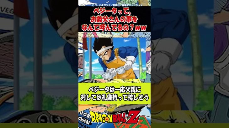 【ドラゴンボール】ベジータって、お義父さんの事をなんて呼んでるの？ｗｗｗ #shorts #ドラゴンボール #考察 #アニメ