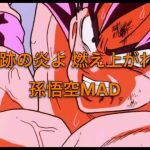 ドラゴンボール 孫悟空MAD(奇跡の炎よ 燃え上がれ!!)