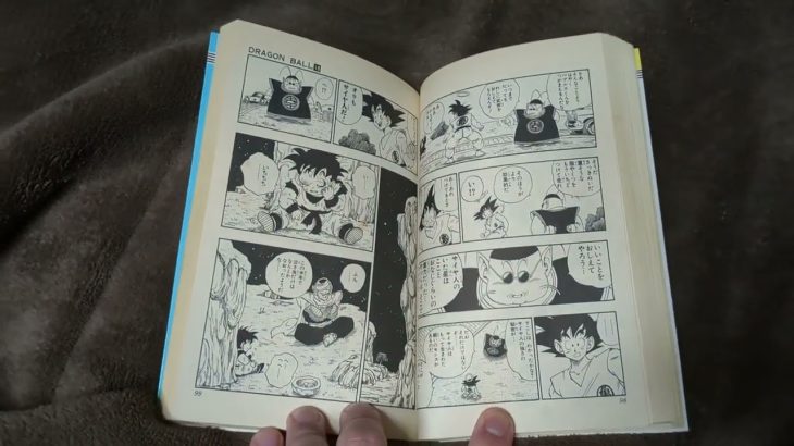 漫画ドラゴンボールサイヤ人編