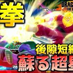 修正されたオレンジピッコロでレイダーを討伐したい戦闘力5の一般人_サバイバー【ドラゴンボール ザ ブレイカーズ】