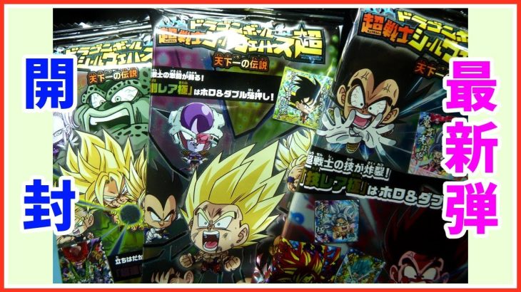 【シール開封】　ドラゴンボール超　超戦士シールウエハース　天下一の伝説　DRAGONBALL