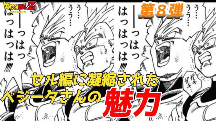 ベジータさん闘いの歴史！PART8　VSセルさん　ひろゆきメーカーで語るドラゴンボールZ