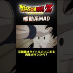 ドラゴンボールは感動できる その2 #ドラゴンボール #感動 #悟飯