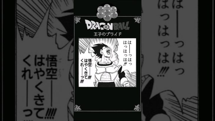 【アフレコ】『ドラゴンボールコラ画像』その2