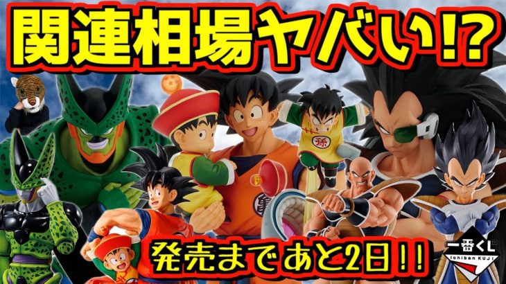 関連フィギュア相場がヤバい⁉︎ 発売まであと2日‼︎ 一番くじ ドラゴンボール VSオムニバスアメイジング 孫悟空 孫悟飯 ベジータ ピッコロ セル ラディッツ