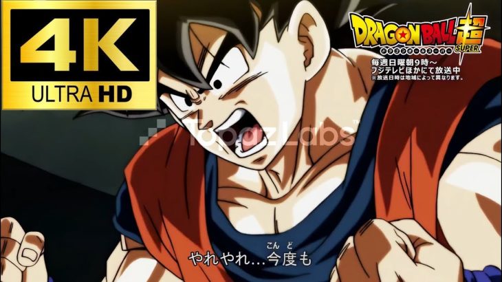 【4K60fps】ドラゴンボール超 限界突破×サバイバー高画質DRAGONBALL