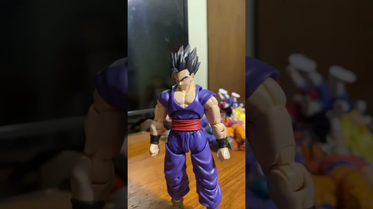 Gohan is mad at his father