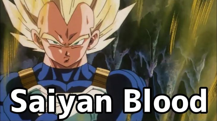 【MAD】ベジータ in Saiyan Blood (ドラゴンボール)