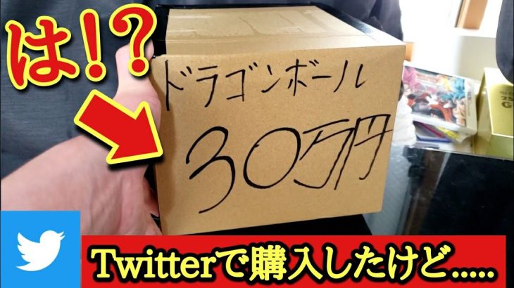 【SDBH】Twitterで購入した30万円のオリパがやばすぎた…このオリパ危機感持った方が良いよ【ドラゴンボールヒーローズ オリパ開封】