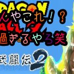 SFC   ドラゴンボール　超武道伝2  キャラこてor改造をしたらバグりまくった^_^