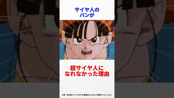 【ドラゴンボール】パンが超サイヤ人になれなかった理由　#ドラゴンボール #dragonball