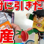 【一番くじ】ドラゴンボールが熱い！朝から並んでフィギュア当てるまでやめれません！