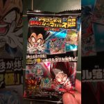 ドラゴンボール 超戦士シールウエハース超 天下一の伝説①