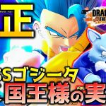 太陽拳シャイニング国王でレイダーを討伐したい_サバイバー【ドラゴンボール ザ ブレイカーズ】