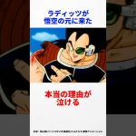 【ドラゴンボール】ラディッツが悟空をスカウトしにきた本当の理由　#ドラゴンボール #ドラゴンボールz