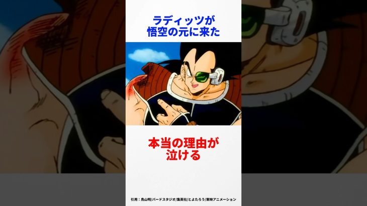 【ドラゴンボール】ラディッツが悟空をスカウトしにきた本当の理由　#ドラゴンボール #ドラゴンボールz