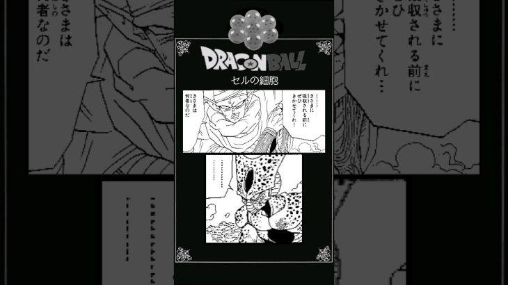 【アフレコ】『ドラゴンボールコラ画像』その5