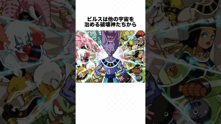 9割が知らないビルス様の雑学 #ドラゴンボール #ドラゴンボール超 #shorts #雑学