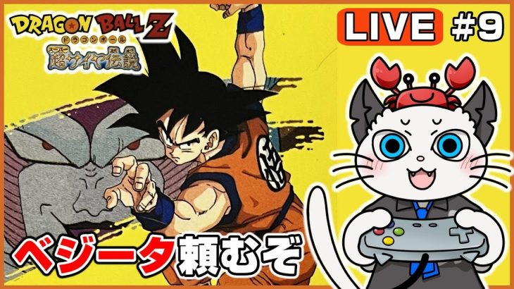 【ドラゴンボールZ 超サイヤ伝説】9話 完全初見がクリア目指して遊ぶ！「隠されたドラゴンボールを探せ！」【実況 レトロゲーム スーパーファミコン】