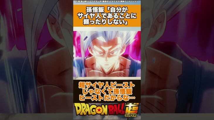 孫悟飯【自分がサイヤ人であることに頼ったりしない】#ドラゴンボール #ドラゴンボール超