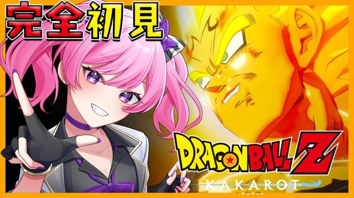 【#ドラゴンボールzカカロット 】ミリしらDBZ！魔人ブウ編＃２🔥天下一武道会始まる！！【新人VTuber/鳳凰レイナ】