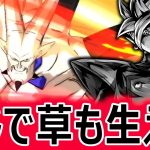 【未来タグに未来はなかった】新LL超一星龍がすごすぎた。【ドラゴンボールレジェンズ】【DRAGONBALL LEGENDS】