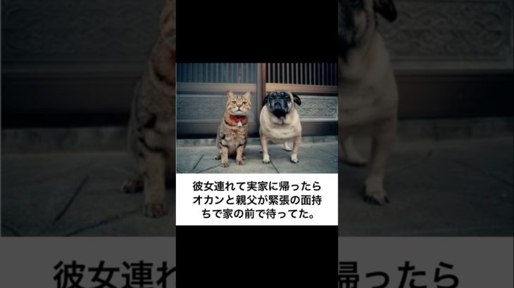 待つ犬と猫の「ボケて」にアフレコするで　#shorts