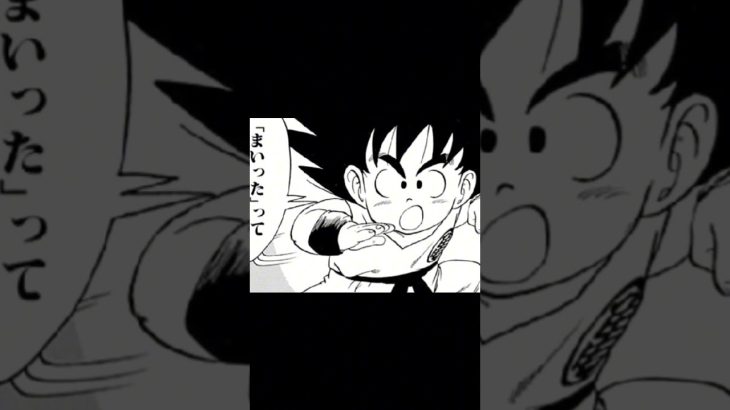 其の39 第4試合【ドラゴンボール】#dragonball #漫画 #天下一武道会