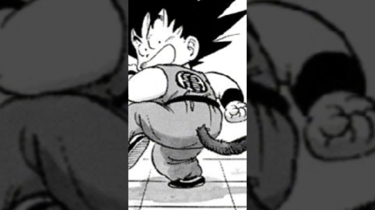 其の44 孫悟空対ナム【ドラゴンボール】#dragonball #漫画 #天下一武道会