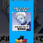 メルスについて【DBS解説】#ドラゴンボール#ドラゴンボール超#アニメ#雑学