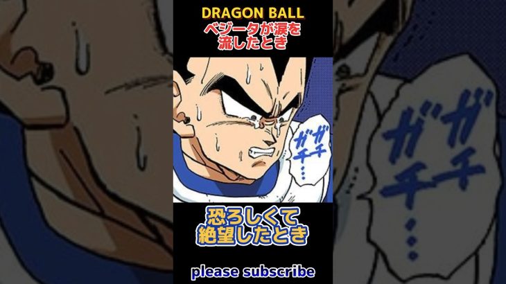 【DRAGON BALL】ドラゴンボール小ネタ PART95 ベジータが涙を流したとき【ドラゴンボール】