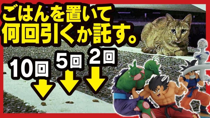 【一番くじ】 ドラゴンボール DRAGON HISTORY ② 猫ちゃんに引く回数を託したいんよ。 【DRAGON BALL 子猫物語】