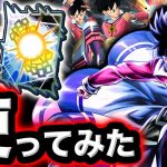 優秀サポートで可愛らしい新ビーデルを使ってみた【ドラゴンボールレジェンズ】【DRAGONBALL LEGENDS】【ゲーム実況】