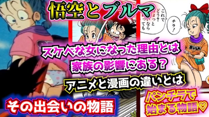 悟空とブルマの出会いを解説！【ドラゴンボール解説③】アニメと漫画の違いについても紹介！【ゆっくり解説】