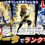 【ドラゴンボールフュージョンワールド】青ベジータ