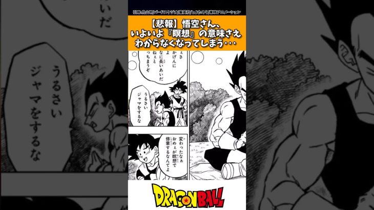 ドラゴンボール超の悟空さん、いよいよ瞑想の意味さえも分からなくなってしまう…