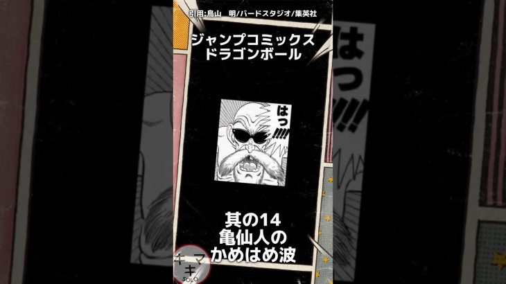 其の14 亀仙人のかめはめ波【ドラゴンボール】