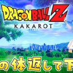 人生初の【ドラゴンボール Z KAKAROT】Switch版を実況プレイ！#5