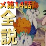 【アニオリ回】【修行するはずがフルチンを見せつける】ドラゴンボールZアニメ14話『あま～い誘惑、蛇姫様のおもてなし』完全解説