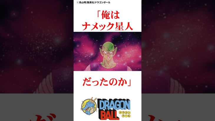 ピッコロは自分の正体に衝撃を受けた#ドラゴンボール