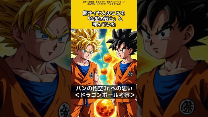 【ドラゴンボール考察】パンおばあちゃんの教育方針