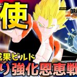 天使との修業の成果ビルド【ドラゴンボール ザ ブレイカーズ】