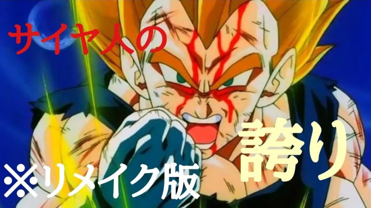 ドラゴンボール【MAD】〜サイヤ人の誇り〜　狂乱heykids