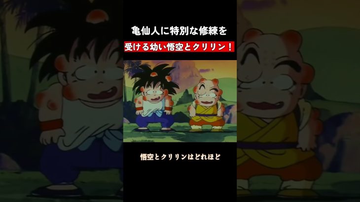 亀仙人に特別な修練を受ける幼い悟空とクリリン！ #ドラゴンボール #dragonball