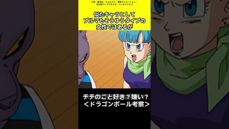 【ドラゴンボール考察】チチのこと好き？嫌い？