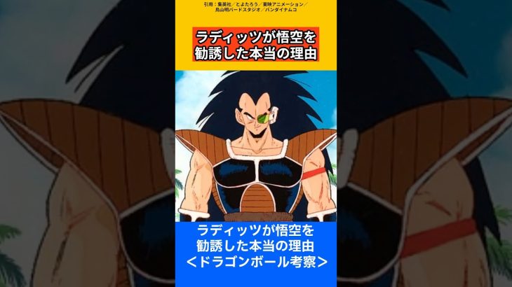 【ドラゴンボール考察】ラディッツが悟空を勧誘した本当の理由