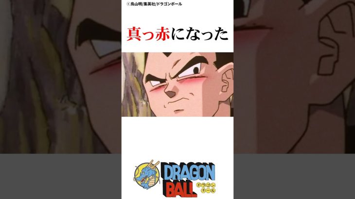 ラブラブドライブデートをするベジータとブラ #ドラゴンボール