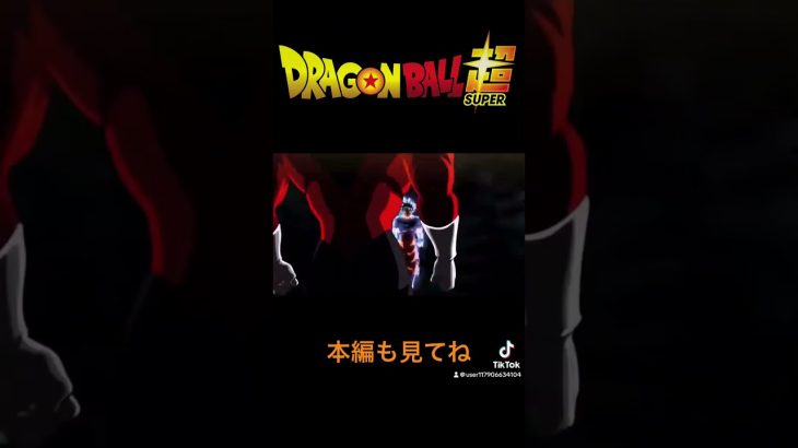 ドラゴンボール超　力の大会　悟空vsジレン　パート2